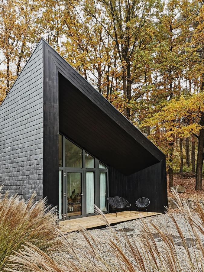 Chalet Modern Jezioro Nyskie *